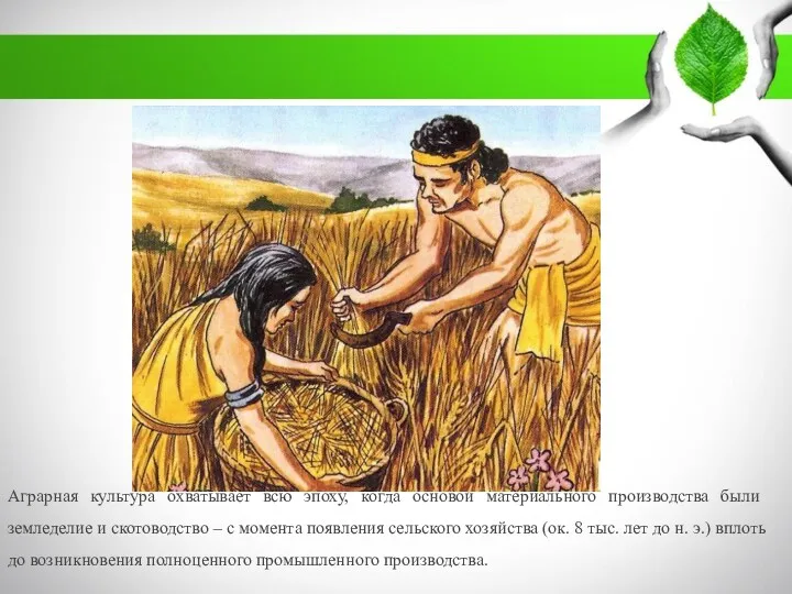Аграрная культура охватывает всю эпоху, когда основой мате­риального производства были земледелие и скотоводство