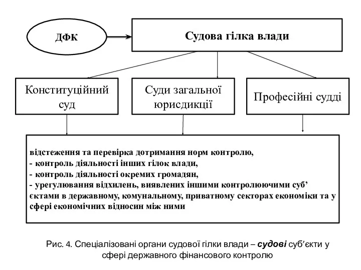 ДФК Судова гілка влади Конституційний суд Суди загальної юрисдикції Професійні