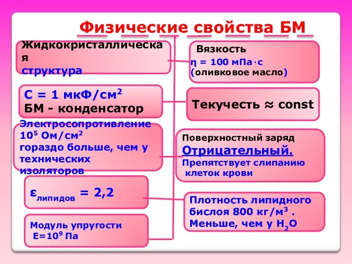 Физические свойства БМ Текучесть ≈ const Жидкокристаллическая структура С =