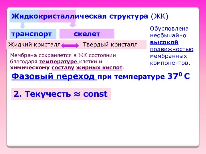 Жидкокристаллическая структура (ЖК) транспорт скелет Фазовый переход при температуре 370