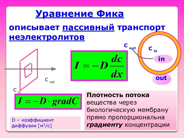 Уравнение Фика описывает пассивный транспорт неэлектролитов C out C in