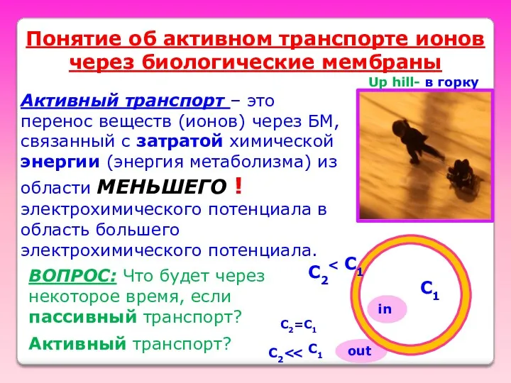 out Понятие об активном транспорте ионов через биологические мембраны C2=С1