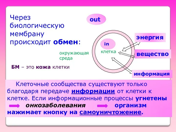 Через биологическую мембрану происходит обмен: вещество энергия клетка окружающая среда