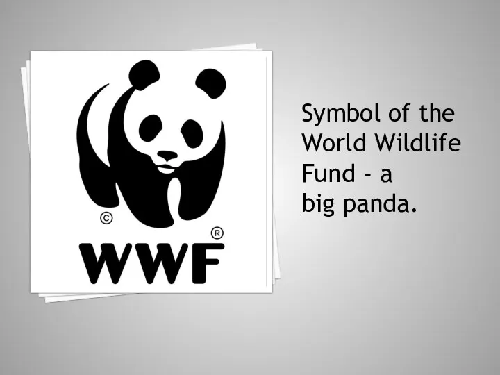 Symbol of the World Wildlife Fund - a big panda.