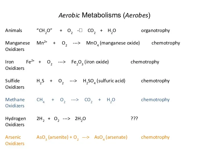 Aerobic Metabolisms (Aerobes) Animals “CH2O” + O2 -? CO2 +