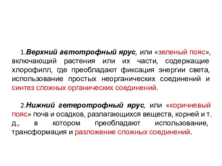 1.Верхний автотрофный ярус, или «зеленый пояс», включающий растения или их