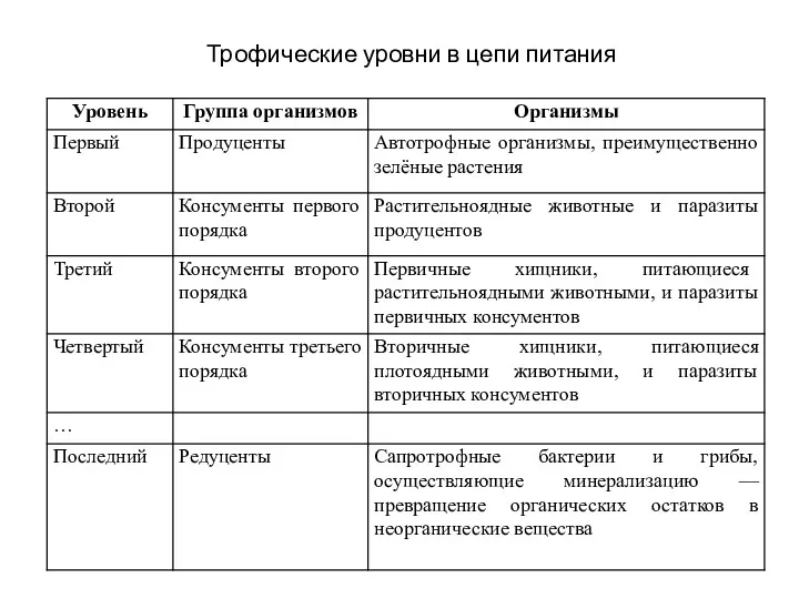 Трофические уровни в цепи питания