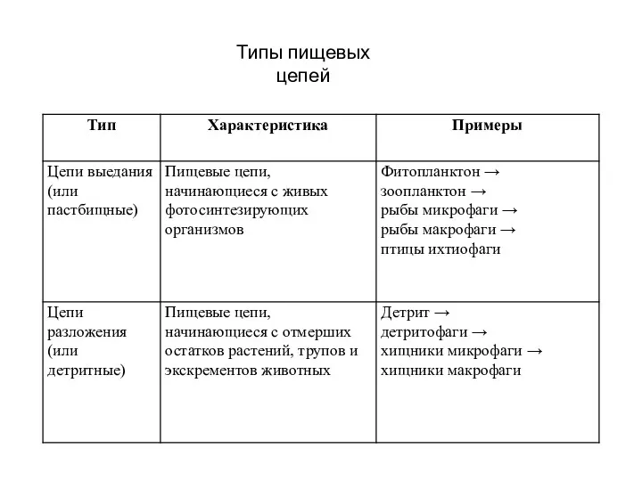 Типы пищевых цепей