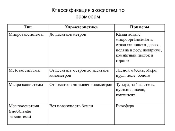 Классификация экосистем по размерам