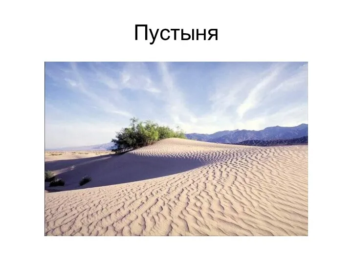 Пустыня