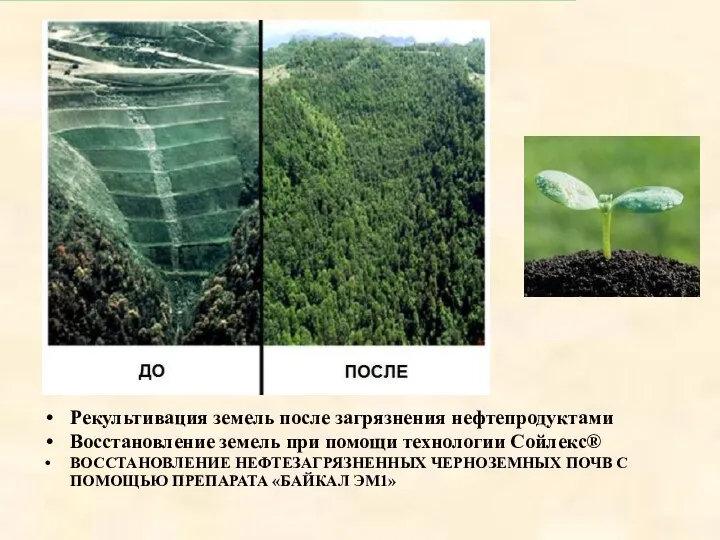 Рекультивация земель после загрязнения нефтепродуктами Восстановление земель при помощи технологии