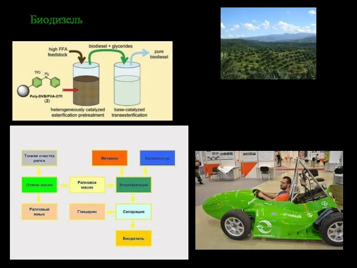 Биодизель Пальмовый дизель столь же грязный, как и топливо из