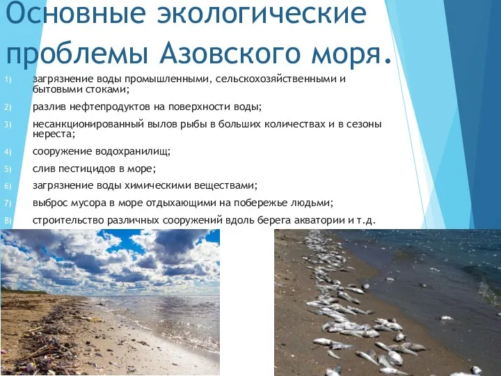 Основные экологические проблемы Азовского моря. загрязнение воды промышленными, сельскохозяйственными и