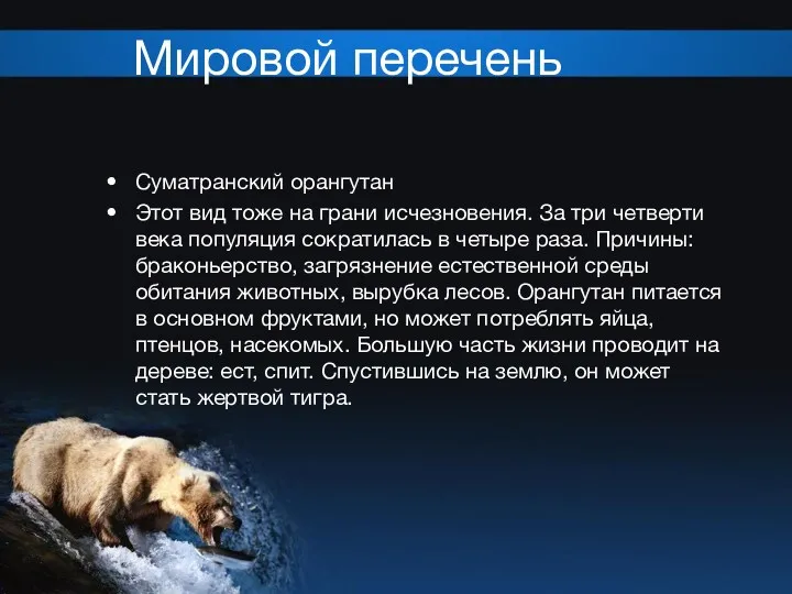 Мировой перечень Суматранский орангутан Этот вид тоже на грани исчезновения.