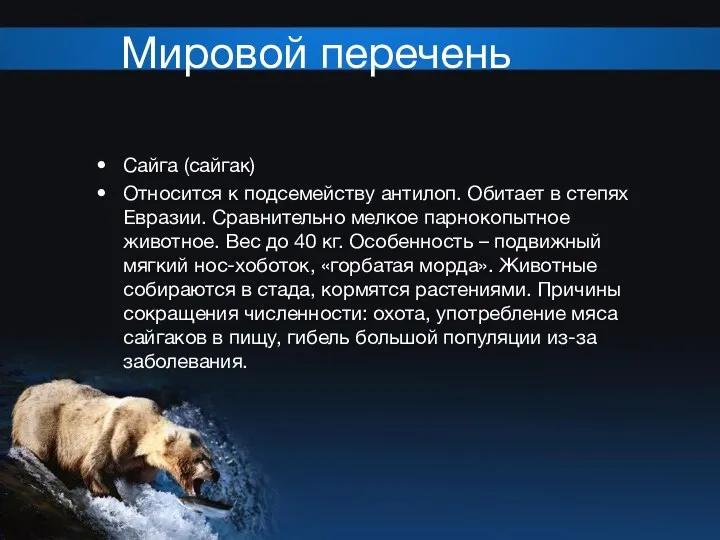 Мировой перечень Сайга (сайгак) Относится к подсемейству антилоп. Обитает в