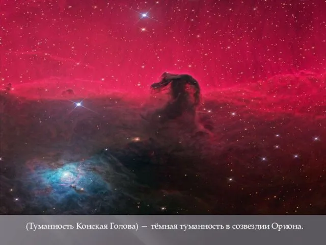 (Туманность Конская Голова) — тёмная туманность в созвездии Ориона.