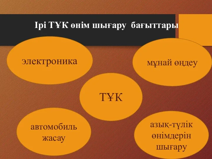 Ірі ТҰК өнім шығару бағыттары электроника автомобильжасау азық-түлік өнімдерін шығару мұнай өңдеу ТҰК