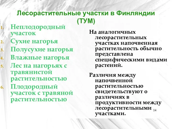 Лесорастительные участки в Финляндии (ТУМ) Неплодородный участок Сухие нагорья Полусухие