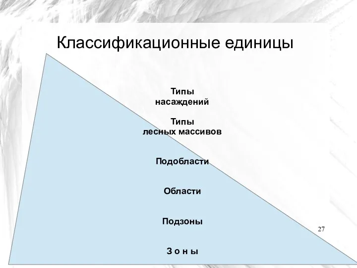 Типы насаждений Типы лесных массивов Подобласти Области Подзоны З о н ы Классификационные единицы