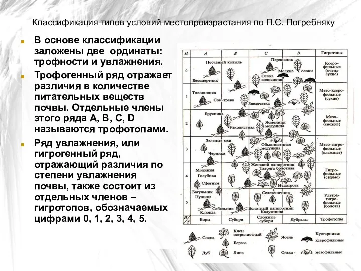 Классификация типов условий местопроизрастания по П.С. Погребняку В основе классификации