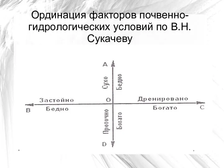 Ординация факторов почвенно-гидрологических условий по В.Н.Сукачеву