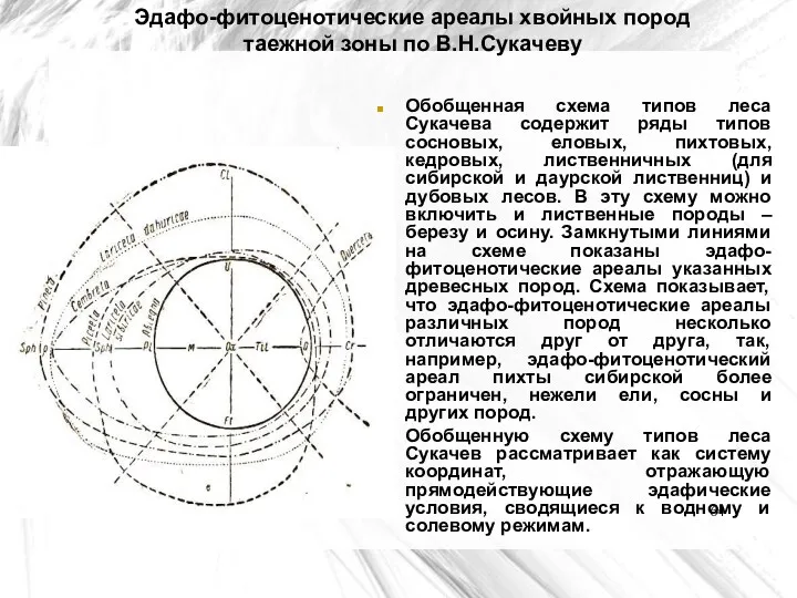 Эдафо-фитоценотические ареалы хвойных пород таежной зоны по В.Н.Сукачеву Обобщенная схема