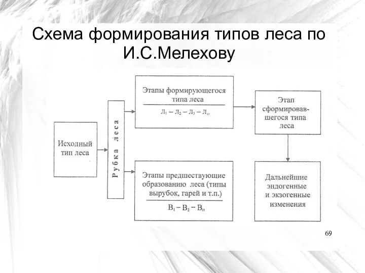 Схема формирования типов леса по И.С.Мелехову