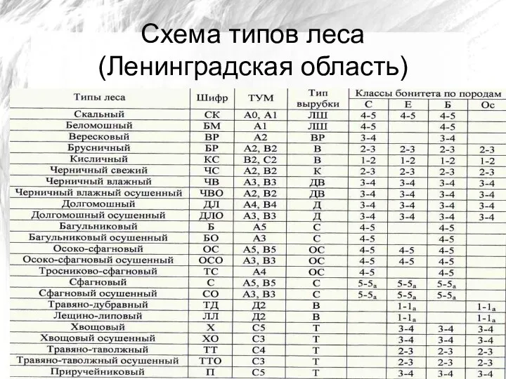 Схема типов леса (Ленинградская область)