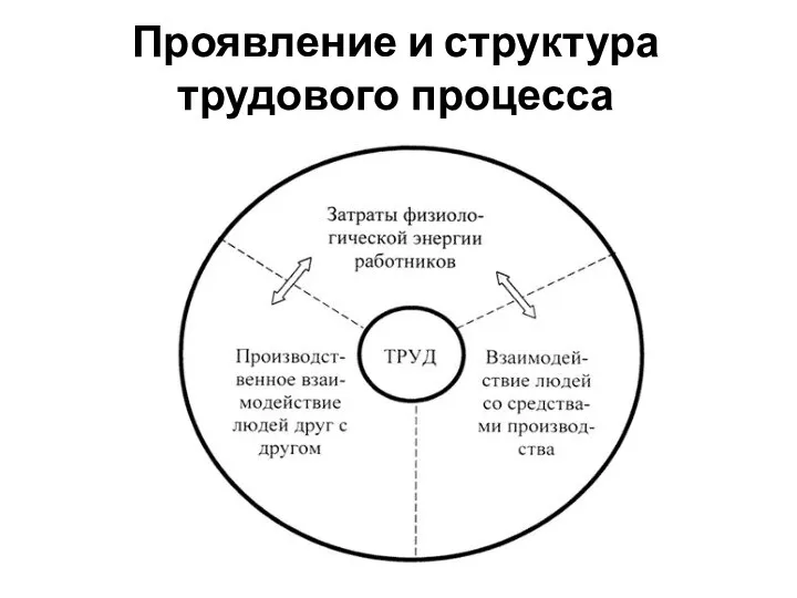 Проявление и структура трудового процесса