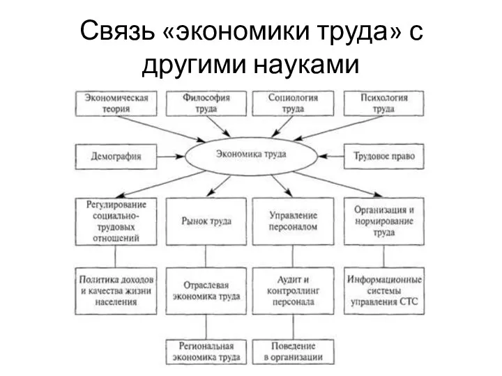 Связь «экономики труда» с другими науками