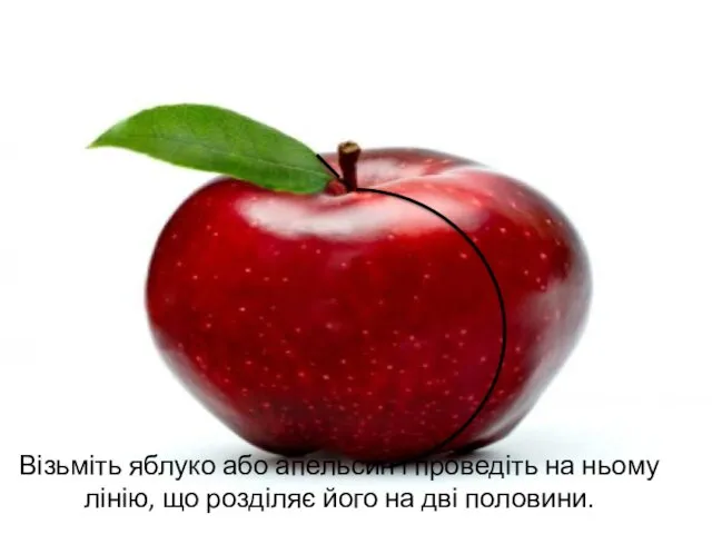 Візьміть яблуко або апельсин і проведіть на ньому лінію, що розділяє його на дві половини.