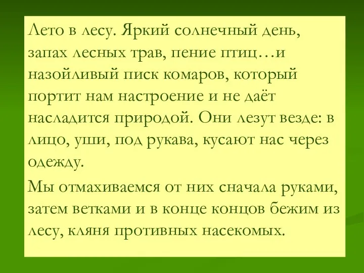 Лето в лесу. Яркий солнечный день, запах лесных трав, пение