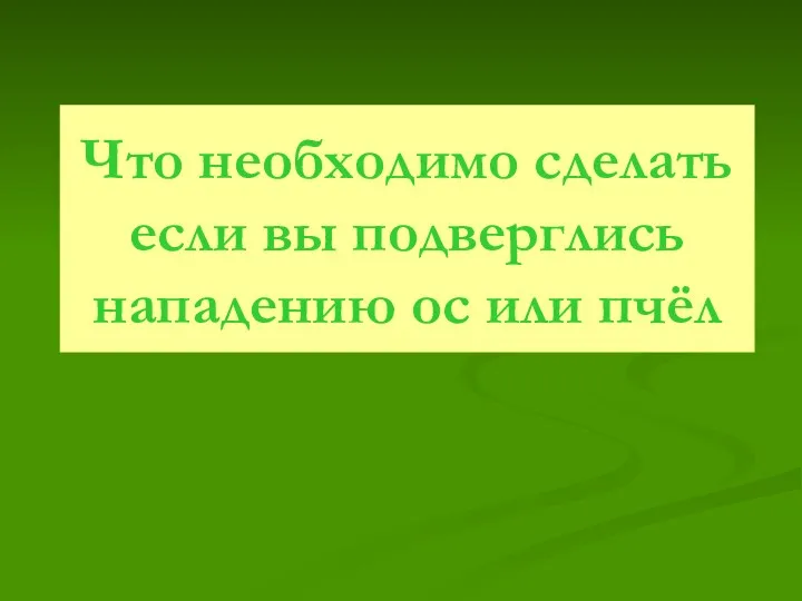 Что необходимо сделать если вы подверглись нападению ос или пчёл