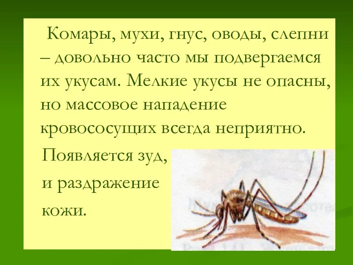 Комары, мухи, гнус, оводы, слепни – довольно часто мы подвергаемся