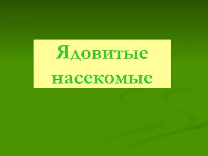 Ядовитые насекомые