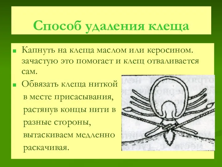 Способ удаления клеща Капнуть на клеща маслом или керосином. зачастую