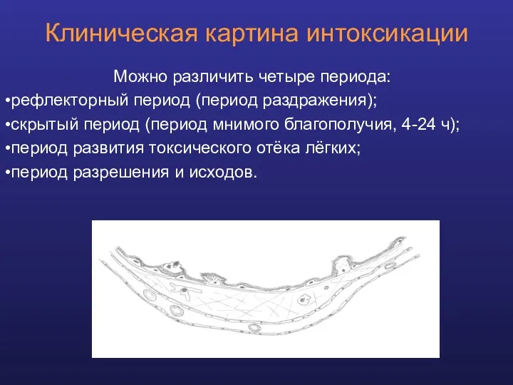 Клиническая картина интоксикации Можно различить четыре периода: рефлекторный период (период