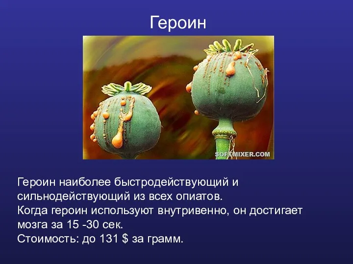 Героин Героин наиболее быстродействующий и сильнодействующий из всех опиатов. Когда