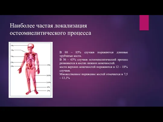 Наиболее частая локализация остеомиелитического процесса В 80 – 85% случаев