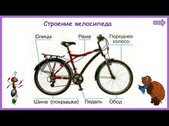 Строение велосипеда
