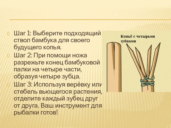 Шаг 1: Выберите подходящий ствол бамбука для своего будущего копья.