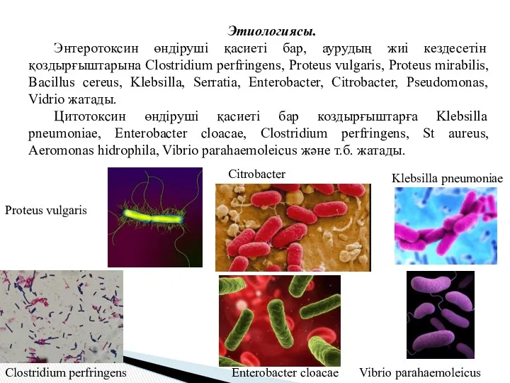 Этиологиясы. Энтеротоксин өндіруші қасиеті бар, аурудың жиі кездесетін қоздырғыштарына Clostridium