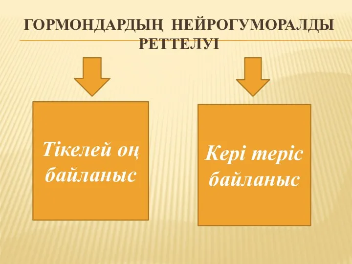 ГОРМОНДАРДЫҢ НЕЙРОГУМОРАЛДЫ РЕТТЕЛУІ Тікелей оң байланыс Кері теріс байланыс