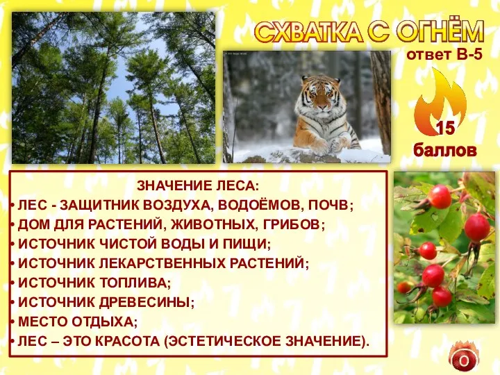 ЗНАЧЕНИЕ ЛЕСА: ЛЕС - ЗАЩИТНИК ВОЗДУХА, ВОДОЁМОВ, ПОЧВ; ДОМ ДЛЯ РАСТЕНИЙ, ЖИВОТНЫХ, ГРИБОВ;