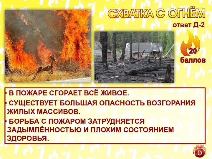 В ПОЖАРЕ СГОРАЕТ ВСЁ ЖИВОЕ. СУЩЕСТВУЕТ БОЛЬШАЯ ОПАСНОСТЬ ВОЗГОРАНИЯ ЖИЛЫХ