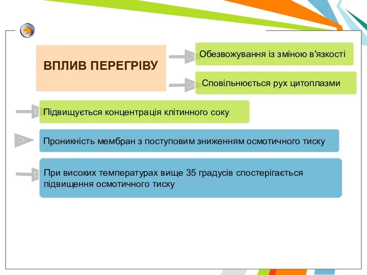 Проникнiсть мембран з поступовим зниженням осмотичного тиску Обезвожування iз змiною