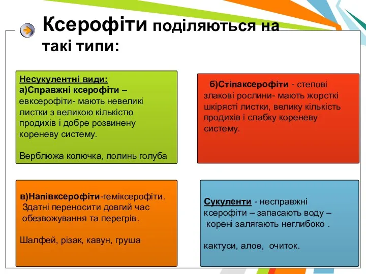 Ксерофiти подiляються на такі типи: Несукулентні види: а)Справжнi ксерофiти –