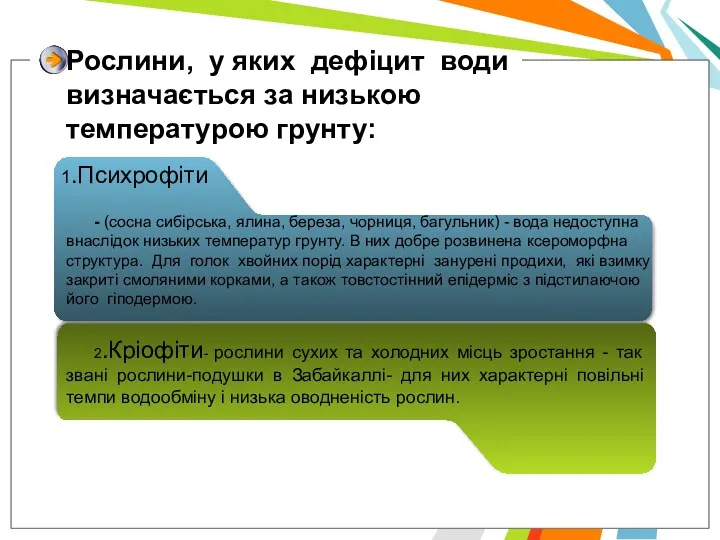 Рослини, у яких дефiцит води визначається за низькою температурою грунту: