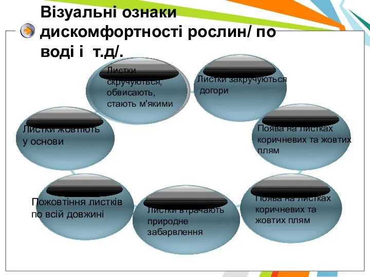 Вiзуальнi ознаки дискомфортностi рослин/ по водi i т.д/. Листки жовтiють