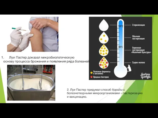 Луи Пастер доказал микробиологическую основу процесса брожения и появления ряда